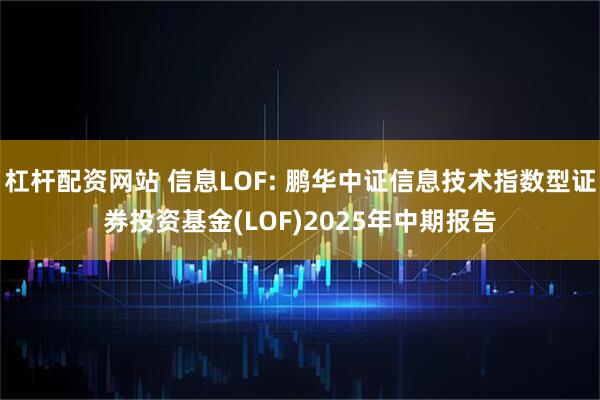 杠杆配资网站 信息LOF: 鹏华中证信息技术指数型证券投资基金(LOF)2025年中期报告